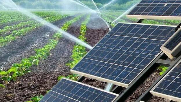 energía solar en agricultura|energia fotovoltaica en la horticultura|energía solar en horticultura|portada 2